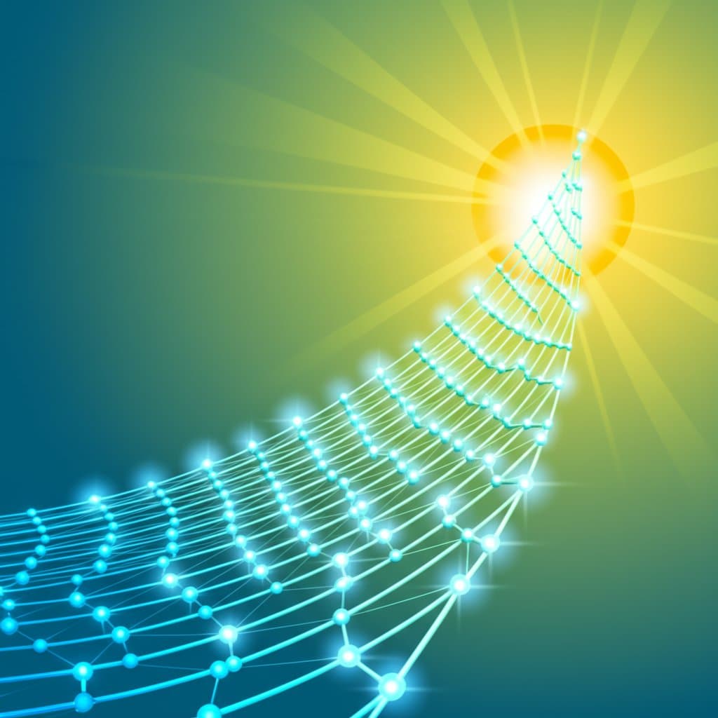 Vetting Top Search Engine Optimization Companies for Growth